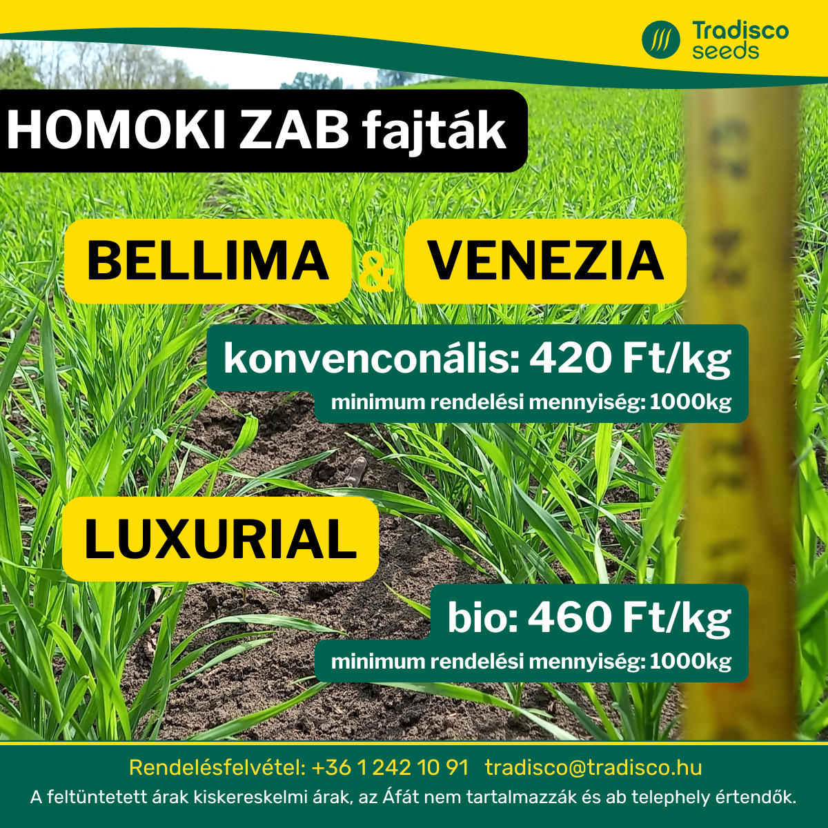 vetőmag venezia bellima